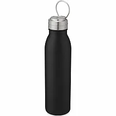 700 ml stainless steel sport bottle with metal loop