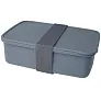 Dovi recycled plastic lunch box - Seasons