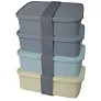 Dovi recycled plastic lunch box - Seasons