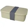Dovi recycled plastic lunch box - Seasons
