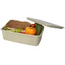 Dovi recycled plastic lunch box - Seasons