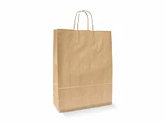 Paper bag with twisted paper handles