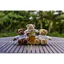 Siddy Honey Plush teddy bear