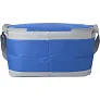  Cooler bag