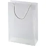  Document bag, exhibition bag A4