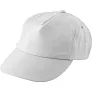  RPET cap