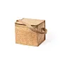  Cork cooler bag