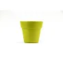  Flower pot, 5-8 petunia seeds and soil