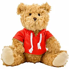 Teddy bear with hoodie