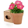  Flower pot, 5-8 petunia seeds and soil