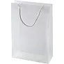  Document bag, exhibition bag A4