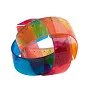  Flexible ruler
