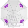  Automatic umbrella