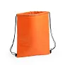  Drawstring cooler bag