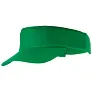  Sun visor