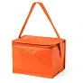  Cooler bag