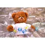 Denis R RPET plush teddy bear