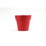  Flower pot, 5-8 petunia seeds and soil