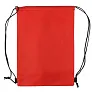  Drawstring cooler bag