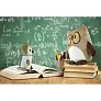 Professowl Plush owl, pillow