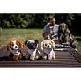 Aksel Plush dog pug