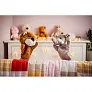 Hunter Plush lion, hand puppet