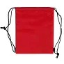  Drawstring cooler bag
