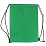  Drawstring cooler bag