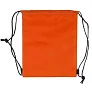  Drawstring cooler bag