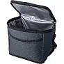  Cooler bag