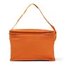  Cooler bag