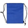  Drawstring cooler bag