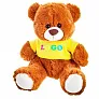 Josh Brown Plush teddy bear