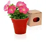  Flower pot, 5-8 petunia seeds and soil