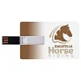  USB memory stick "credit card"