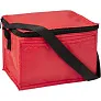  Cooler bag