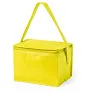  Cooler bag