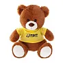 Josh Brown Plush teddy bear