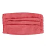  Reusable face mask