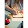  Bamboo ball pen with stand B'RIGHT