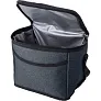  Cooler bag