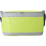  Cooler bag