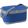  Cooler bag