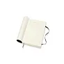  MOLESKINE diary