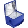  Cooler bag