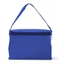  Cooler bag