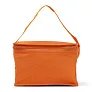  Cooler bag