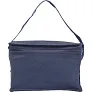  Cooler bag