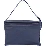  Cooler bag