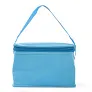  Cooler bag